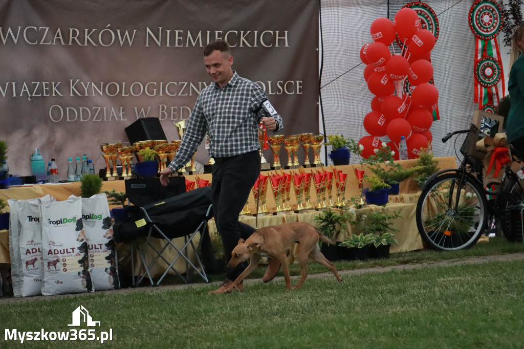 Fotorelacja - Wystawa Psów Rasowych GNIAZDÓW 2024r. NIEDZIELA II