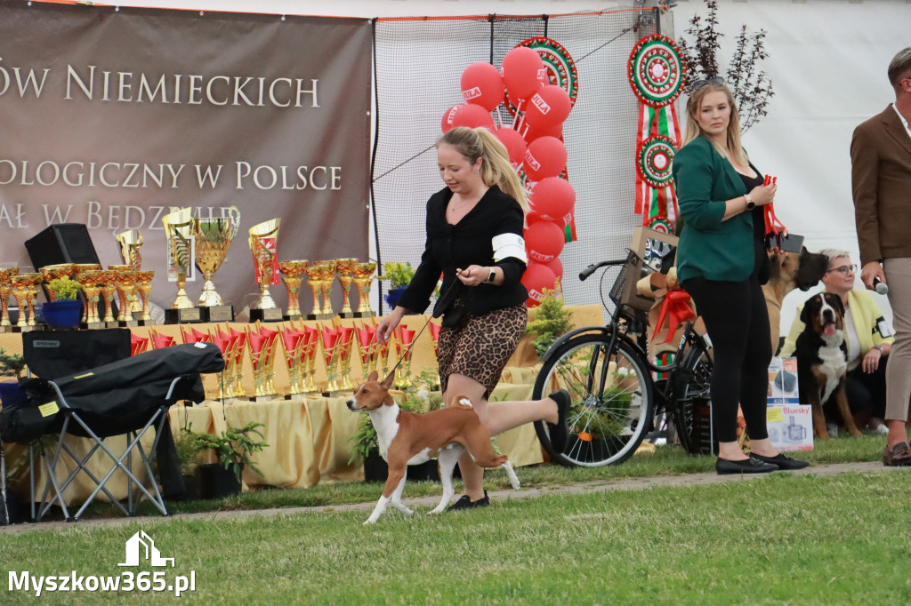 Fotorelacja - Wystawa Psów Rasowych GNIAZDÓW 2024r. NIEDZIELA II