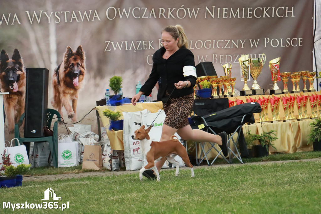 Fotorelacja - Wystawa Psów Rasowych GNIAZDÓW 2024r. NIEDZIELA II