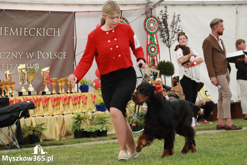 Fotorelacja - Wystawa Psów Rasowych GNIAZDÓW 2024r. NIEDZIELA II