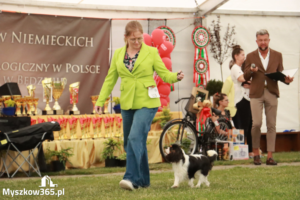 Fotorelacja - Wystawa Psów Rasowych GNIAZDÓW 2024r. NIEDZIELA II