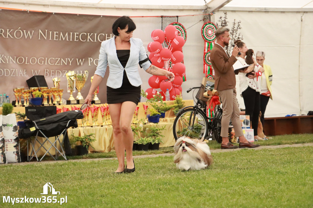Fotorelacja - Wystawa Psów Rasowych GNIAZDÓW 2024r. NIEDZIELA II