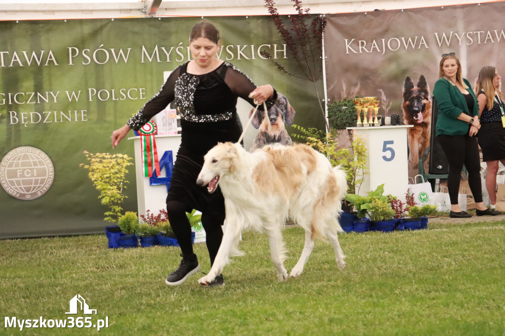 Fotorelacja - Wystawa Psów Rasowych GNIAZDÓW 2024r. NIEDZIELA II