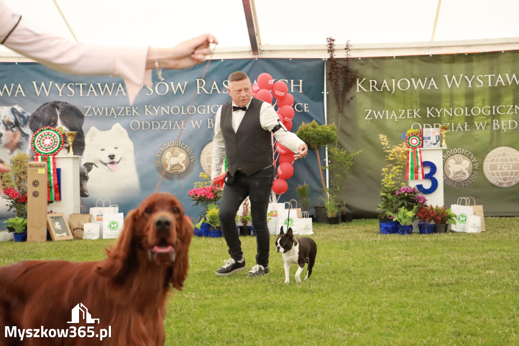 Fotorelacja - Wystawa Psów Rasowych GNIAZDÓW 2024r. NIEDZIELA II
