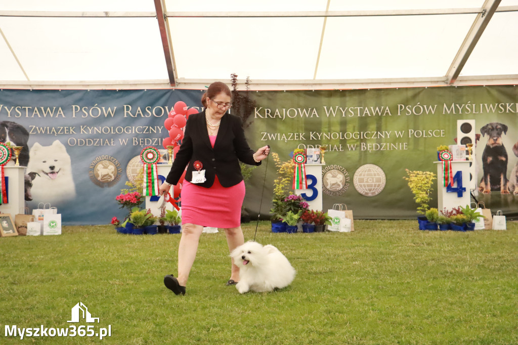 Fotorelacja - Wystawa Psów Rasowych GNIAZDÓW 2024r. NIEDZIELA II