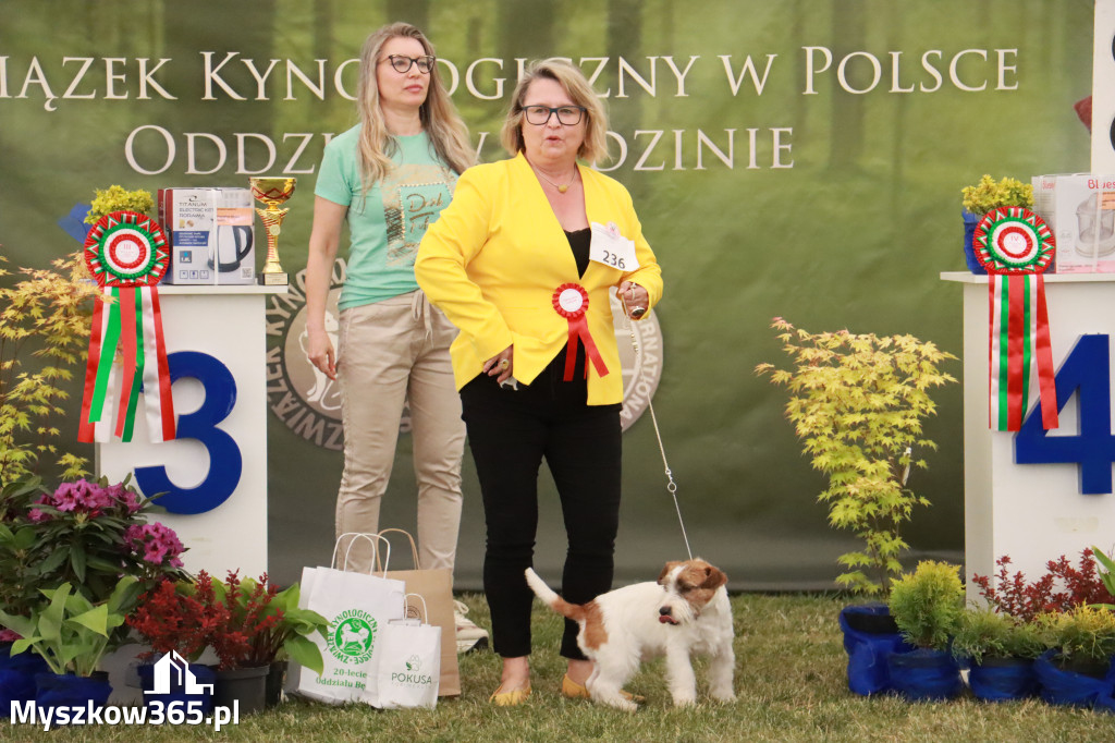 Fotorelacja - Wystawa Psów Rasowych GNIAZDÓW 2024r. NIEDZIELA II