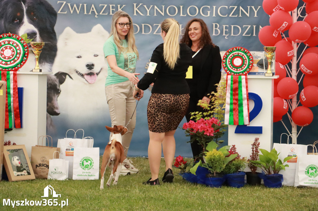 Fotorelacja - Wystawa Psów Rasowych GNIAZDÓW 2024r. NIEDZIELA II