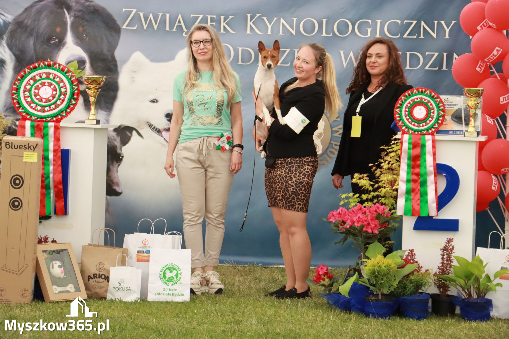 Fotorelacja - Wystawa Psów Rasowych GNIAZDÓW 2024r. NIEDZIELA II