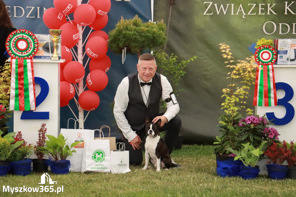 Fotorelacja - Wystawa Psów Rasowych GNIAZDÓW 2024r. NIEDZIELA II