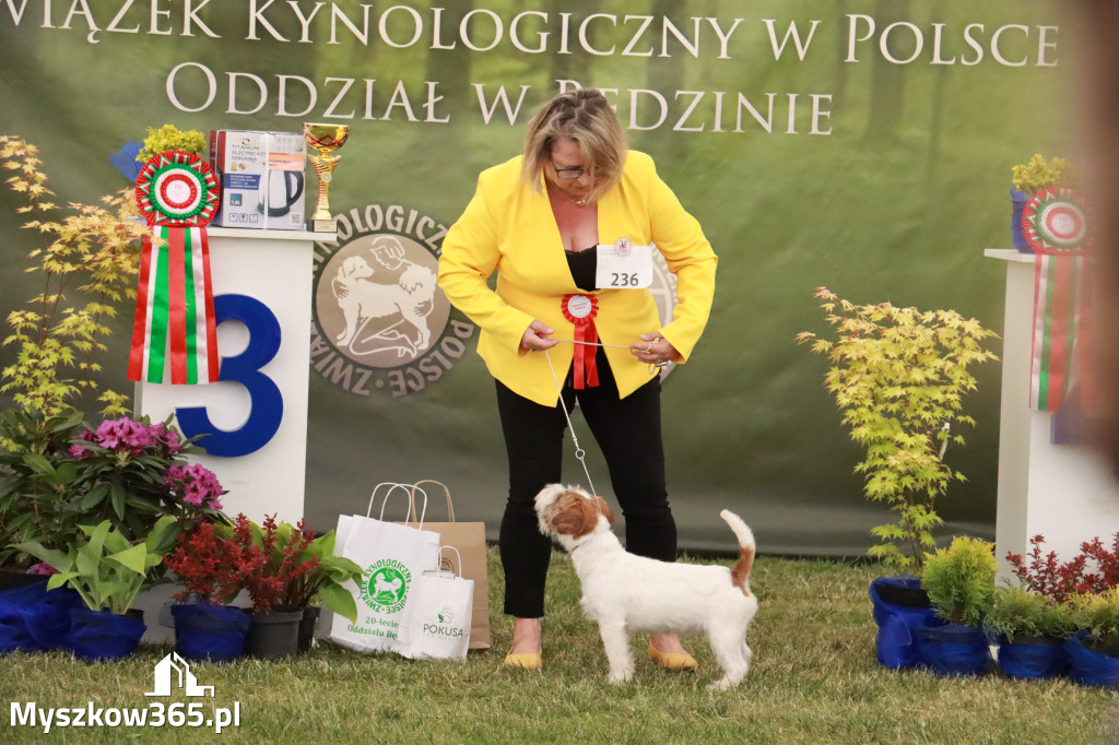 Fotorelacja - Wystawa Psów Rasowych GNIAZDÓW 2024r. NIEDZIELA II