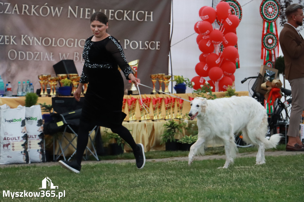 Fotorelacja - Wystawa Psów Rasowych GNIAZDÓW 2024r. NIEDZIELA II