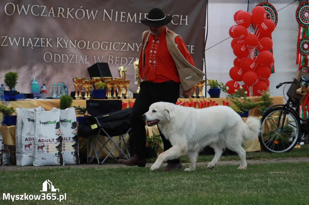 Fotorelacja - Wystawa Psów Rasowych GNIAZDÓW 2024r. NIEDZIELA II