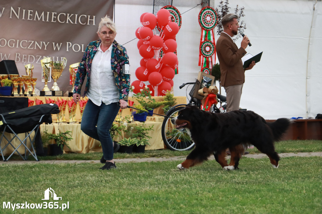 Fotorelacja - Wystawa Psów Rasowych GNIAZDÓW 2024r. NIEDZIELA II