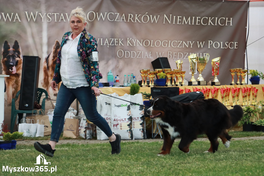 Fotorelacja - Wystawa Psów Rasowych GNIAZDÓW 2024r. NIEDZIELA II