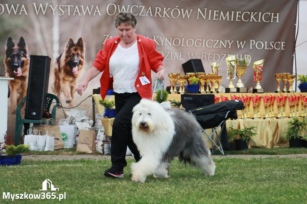 Fotorelacja - Wystawa Psów Rasowych GNIAZDÓW 2024r. NIEDZIELA II