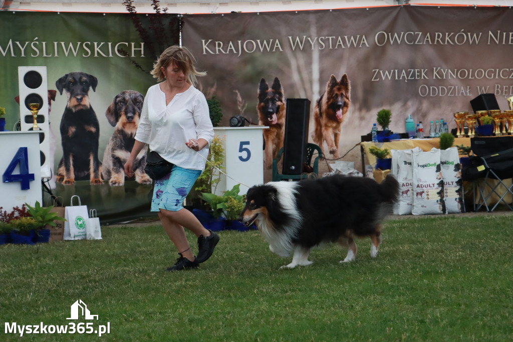 Fotorelacja - Wystawa Psów Rasowych GNIAZDÓW 2024r. NIEDZIELA II