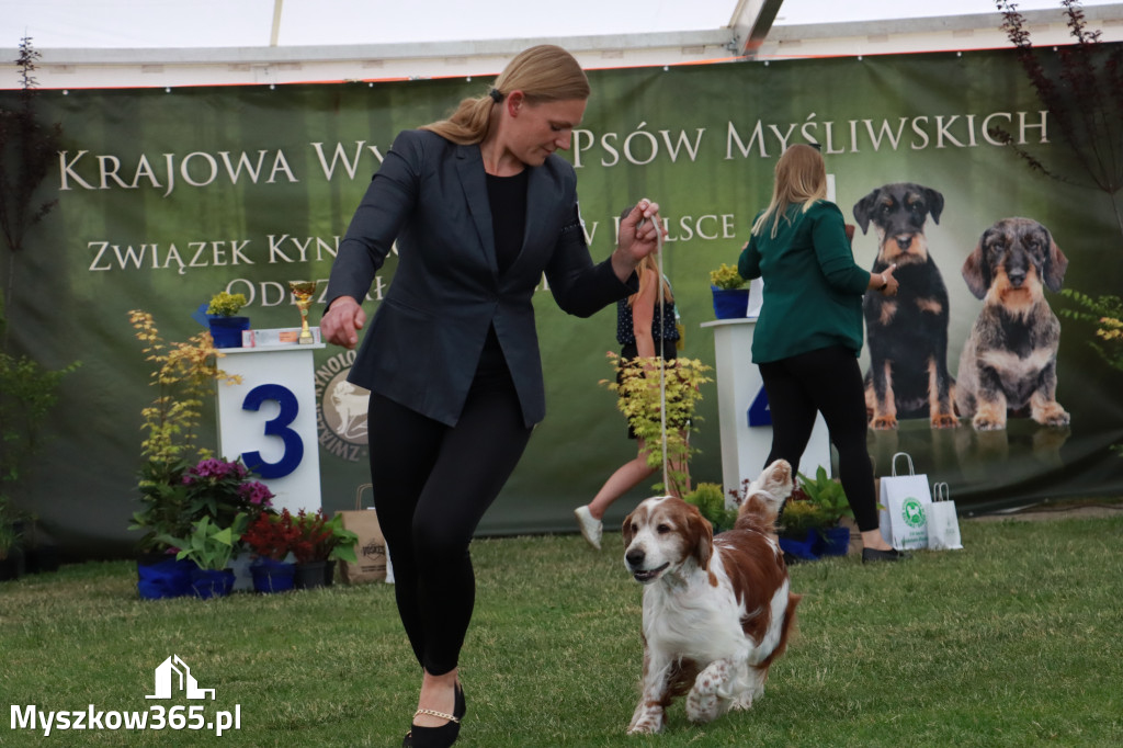 Fotorelacja - Wystawa Psów Rasowych GNIAZDÓW 2024r. NIEDZIELA II