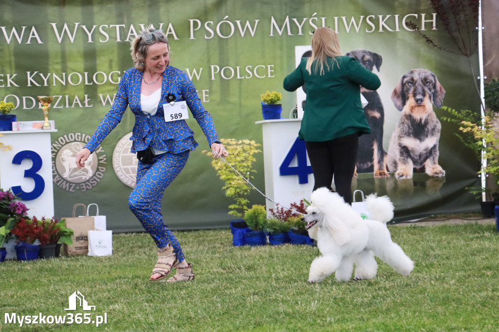Fotorelacja - Wystawa Psów Rasowych GNIAZDÓW 2024r. NIEDZIELA II