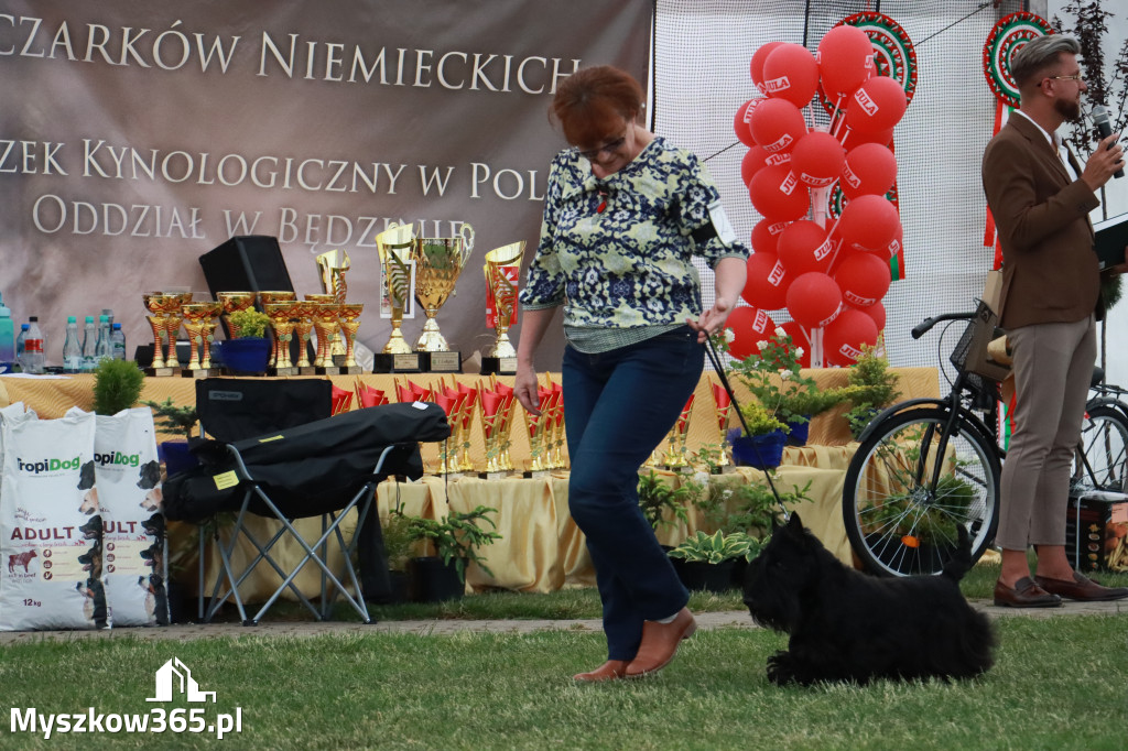 Fotorelacja - Wystawa Psów Rasowych GNIAZDÓW 2024r. NIEDZIELA II