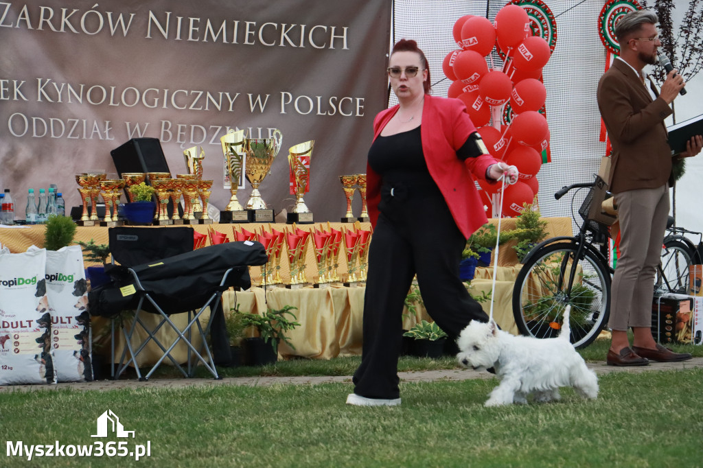 Fotorelacja - Wystawa Psów Rasowych GNIAZDÓW 2024r. NIEDZIELA II