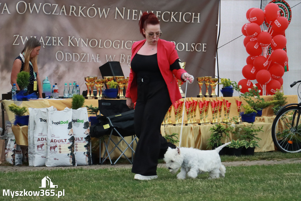 Fotorelacja - Wystawa Psów Rasowych GNIAZDÓW 2024r. NIEDZIELA II