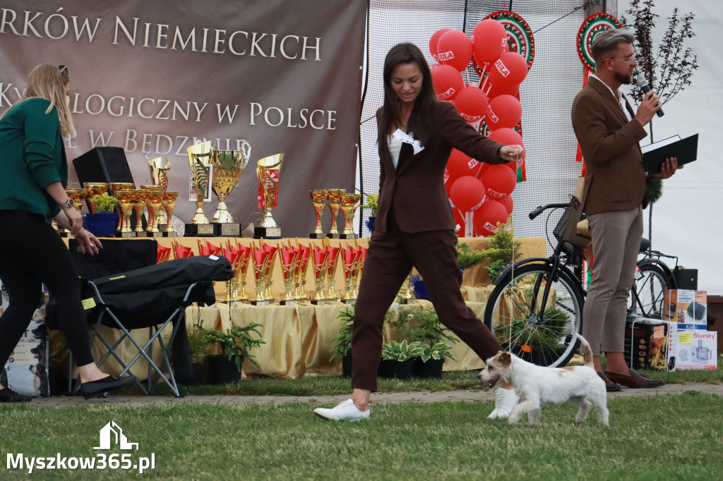 Fotorelacja - Wystawa Psów Rasowych GNIAZDÓW 2024r. NIEDZIELA II
