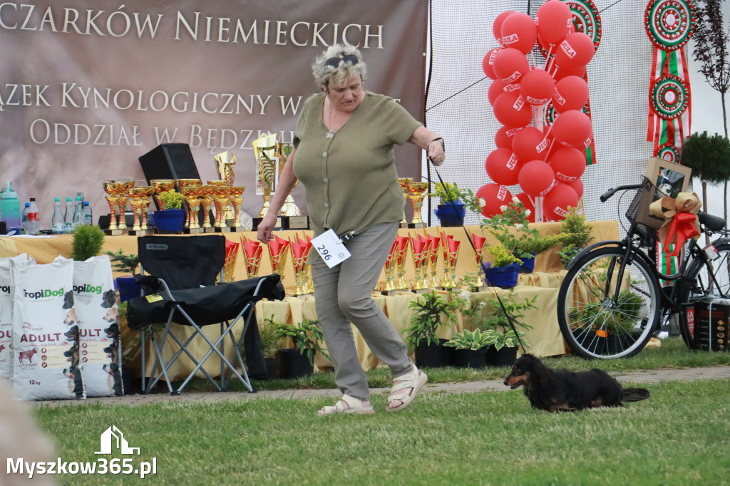 Fotorelacja - Wystawa Psów Rasowych GNIAZDÓW 2024r. NIEDZIELA II