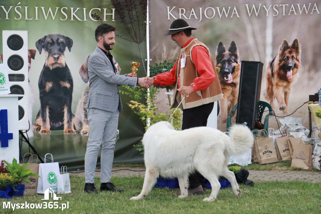 Fotorelacja - Wystawa Psów Rasowych GNIAZDÓW 2024r. NIEDZIELA II
