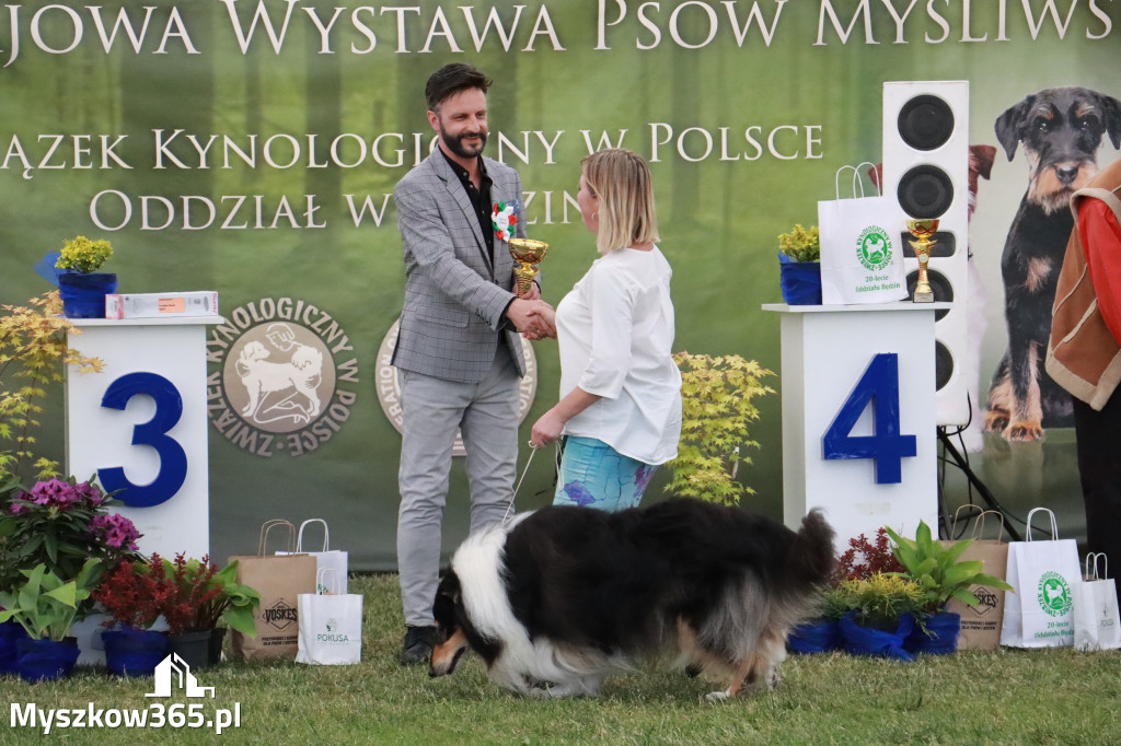 Fotorelacja - Wystawa Psów Rasowych GNIAZDÓW 2024r. NIEDZIELA II