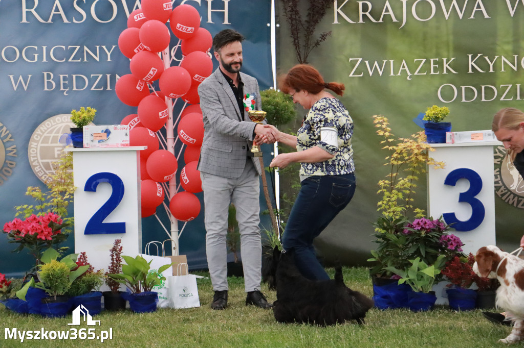 Fotorelacja - Wystawa Psów Rasowych GNIAZDÓW 2024r. NIEDZIELA II