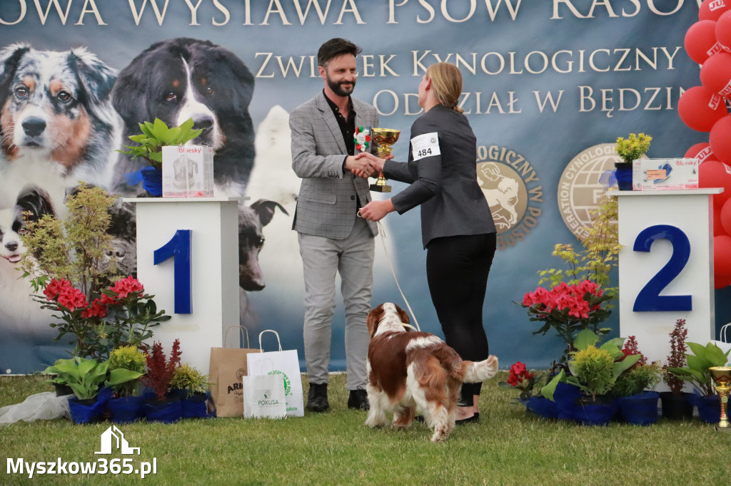 Fotorelacja - Wystawa Psów Rasowych GNIAZDÓW 2024r. NIEDZIELA II