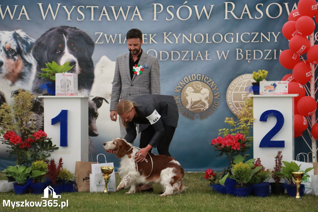 Fotorelacja - Wystawa Psów Rasowych GNIAZDÓW 2024r. NIEDZIELA II