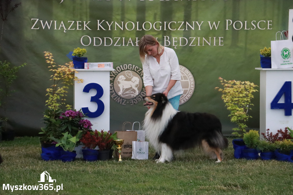 Fotorelacja - Wystawa Psów Rasowych GNIAZDÓW 2024r. NIEDZIELA II