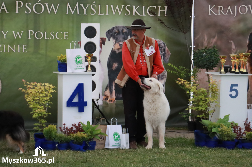 Fotorelacja - Wystawa Psów Rasowych GNIAZDÓW 2024r. NIEDZIELA II