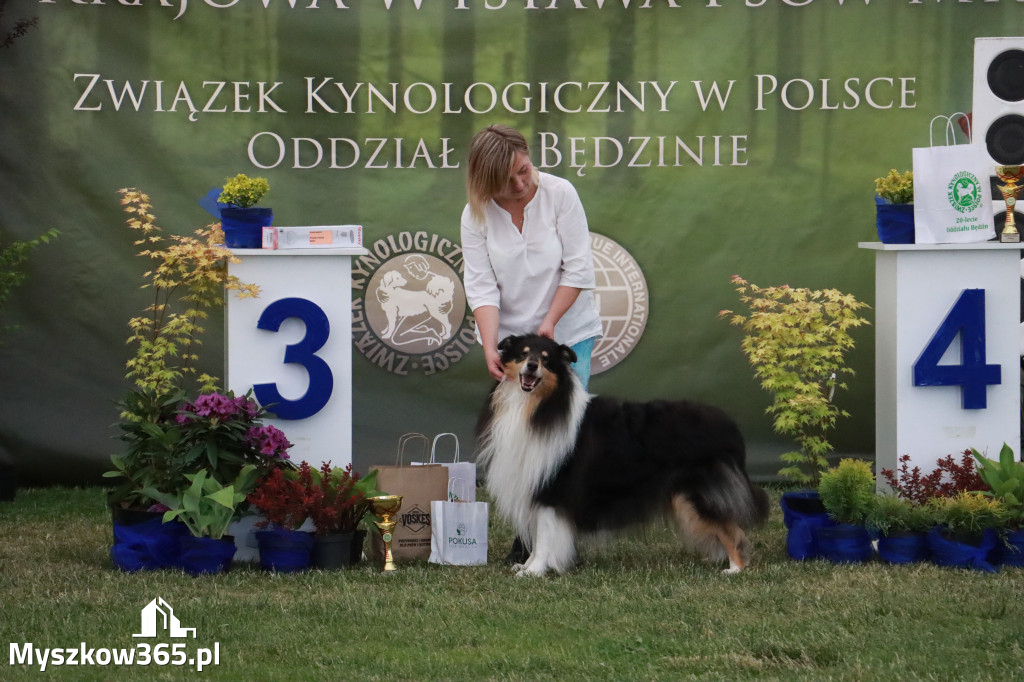 Fotorelacja - Wystawa Psów Rasowych GNIAZDÓW 2024r. NIEDZIELA II
