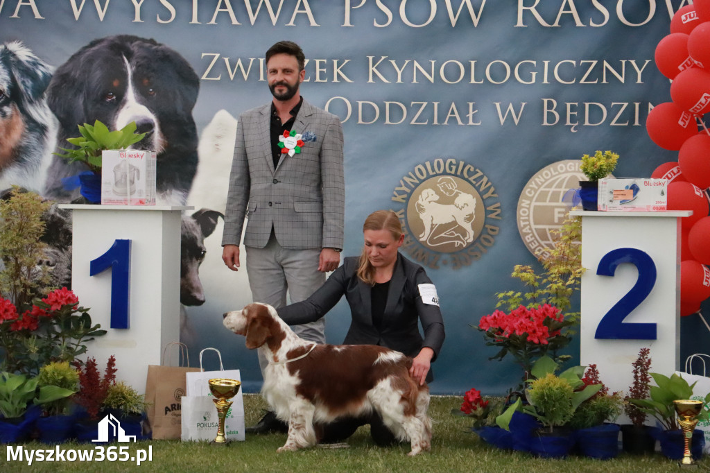 Fotorelacja - Wystawa Psów Rasowych GNIAZDÓW 2024r. NIEDZIELA II