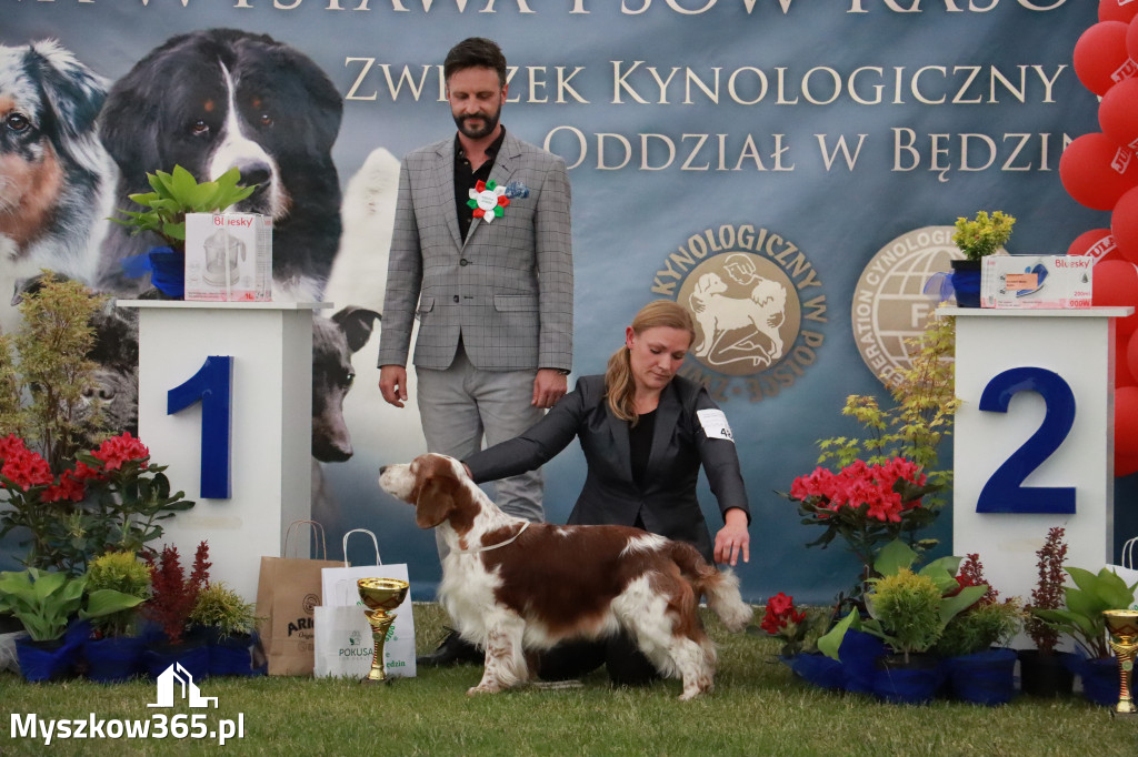 Fotorelacja - Wystawa Psów Rasowych GNIAZDÓW 2024r. NIEDZIELA II