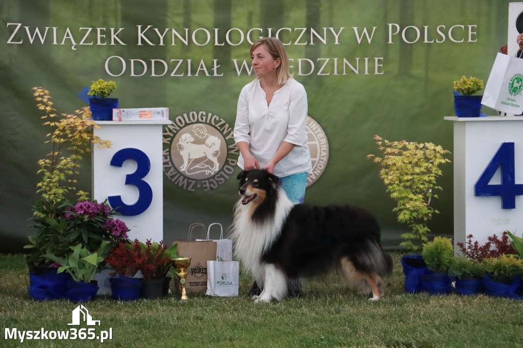 Fotorelacja - Wystawa Psów Rasowych GNIAZDÓW 2024r. NIEDZIELA II