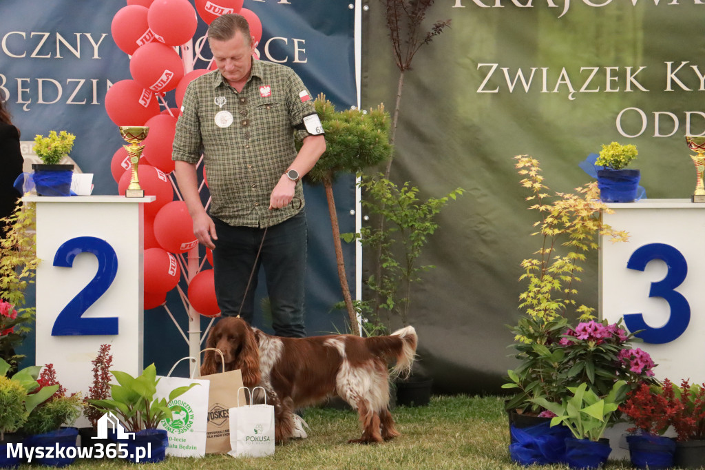 Fotorelacja - Wystawa Psów Rasowych GNIAZDÓW 2024r. NIEDZIELA II
