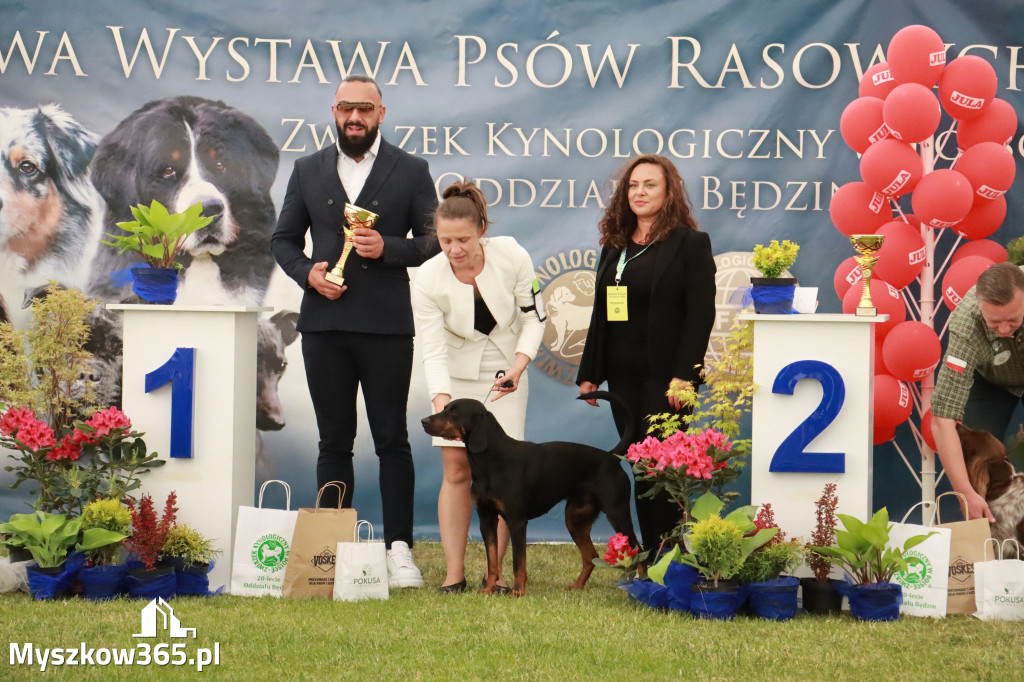 Fotorelacja - Wystawa Psów Rasowych GNIAZDÓW 2024r. NIEDZIELA II