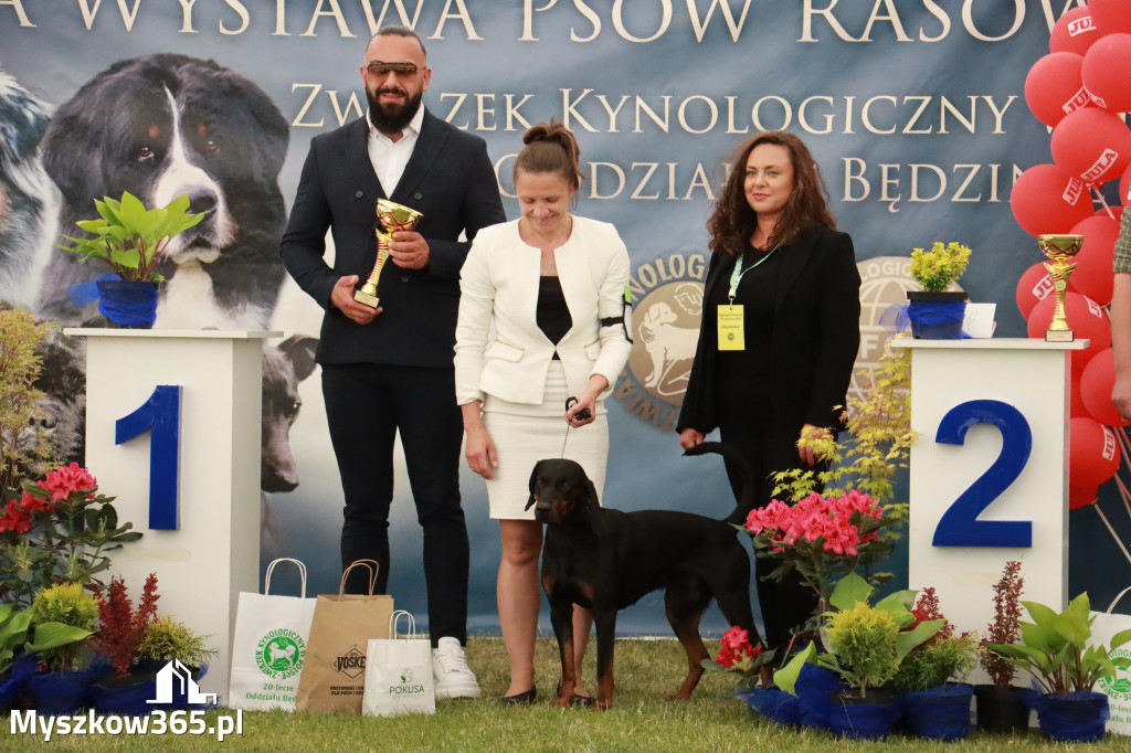 Fotorelacja - Wystawa Psów Rasowych GNIAZDÓW 2024r. NIEDZIELA II