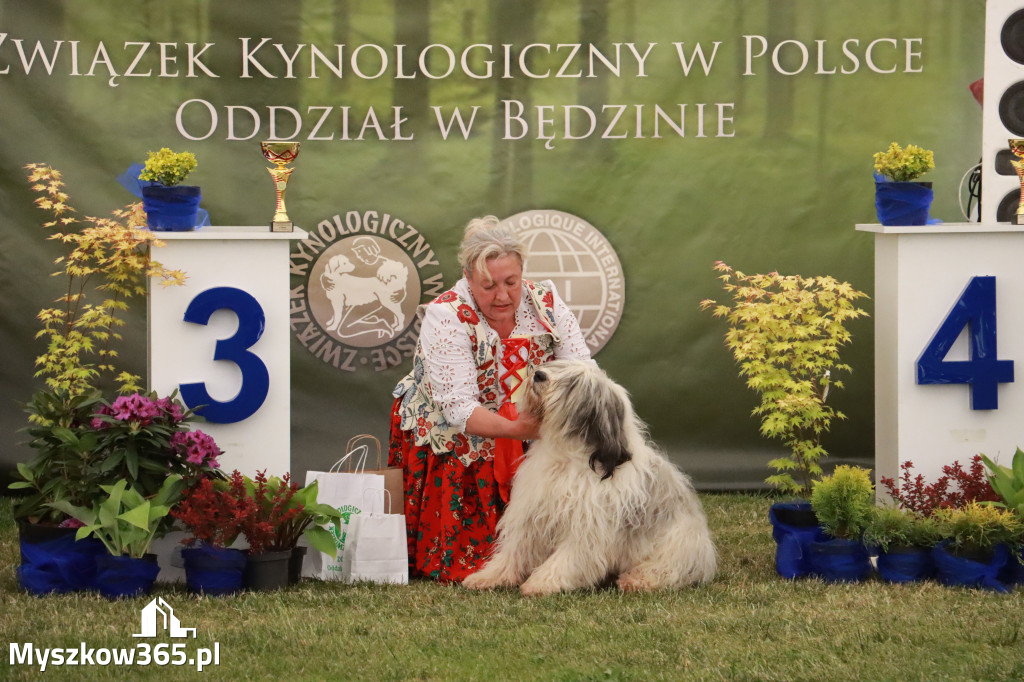 Fotorelacja - Wystawa Psów Rasowych GNIAZDÓW 2024r. NIEDZIELA II
