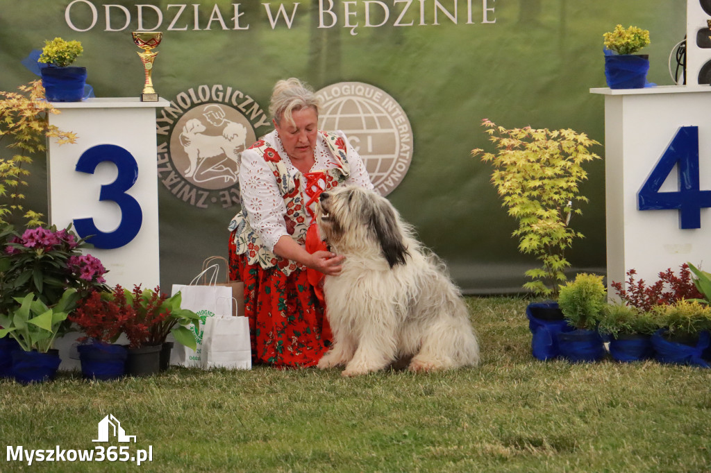 Fotorelacja - Wystawa Psów Rasowych GNIAZDÓW 2024r. NIEDZIELA II
