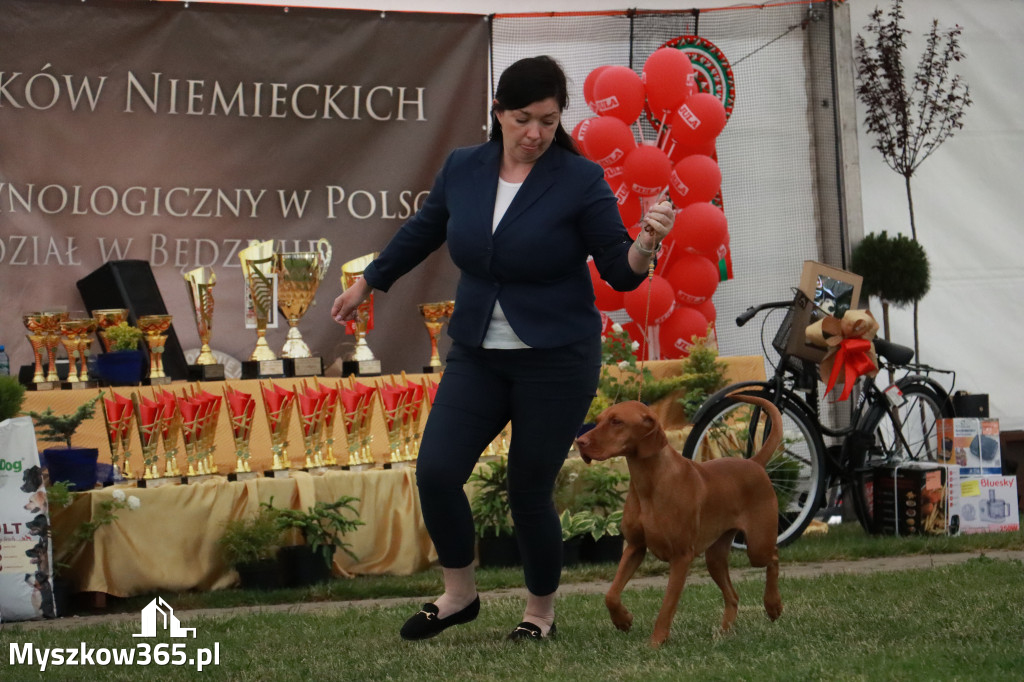 Fotorelacja - Wystawa Psów Rasowych GNIAZDÓW 2024r. NIEDZIELA II