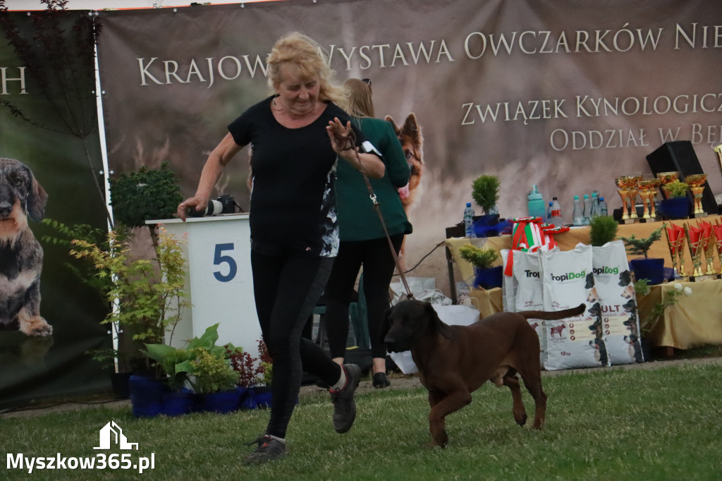 Fotorelacja - Wystawa Psów Rasowych GNIAZDÓW 2024r. NIEDZIELA II