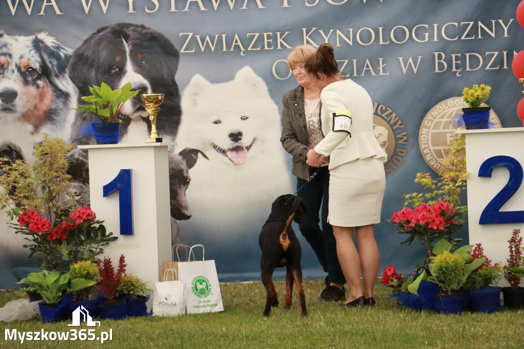 Fotorelacja - Wystawa Psów Rasowych GNIAZDÓW 2024r. NIEDZIELA II