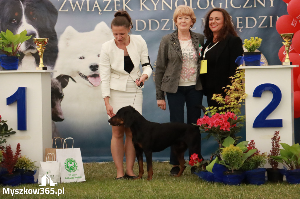 Fotorelacja - Wystawa Psów Rasowych GNIAZDÓW 2024r. NIEDZIELA II