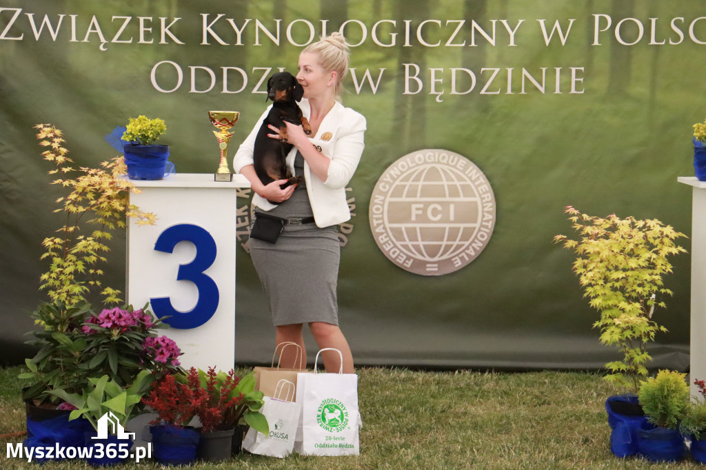 Fotorelacja - Wystawa Psów Rasowych GNIAZDÓW 2024r. NIEDZIELA II