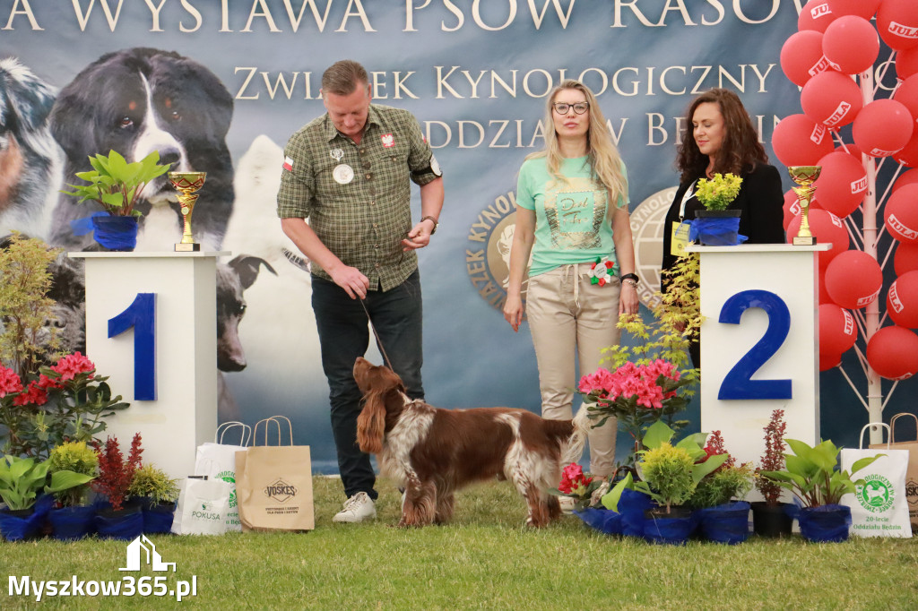 Fotorelacja - Wystawa Psów Rasowych GNIAZDÓW 2024r. NIEDZIELA II