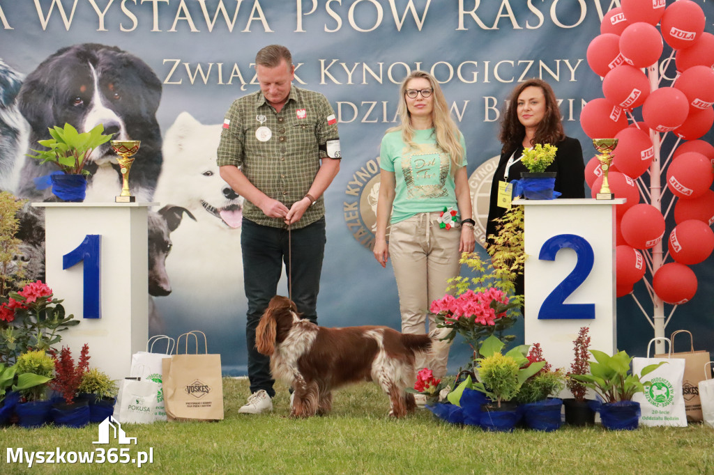 Fotorelacja - Wystawa Psów Rasowych GNIAZDÓW 2024r. NIEDZIELA II